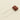Cinnamon Drop .022uF Polypropylene Film Capacitors Set of 5