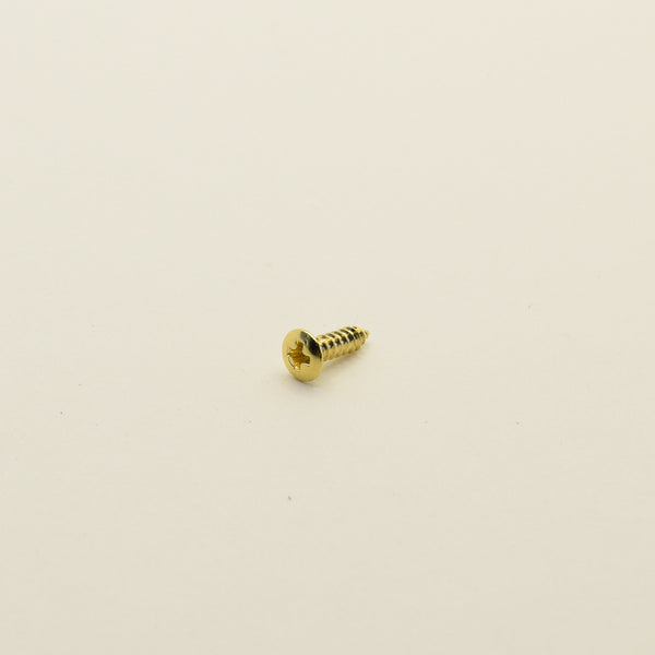 Gold Steel Pickguard Screws 2.5mm x 10mm