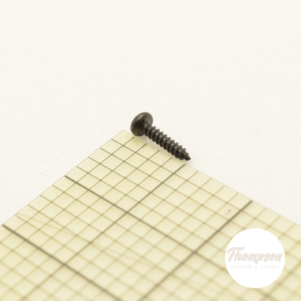 Black Steel Tuner Screws 2mm x 9.5mm Set of 12