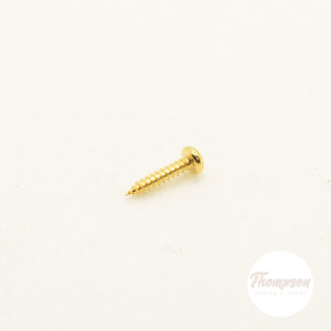 Gold Steel Tuner Screws 2mm x 9.5mm Set of 12