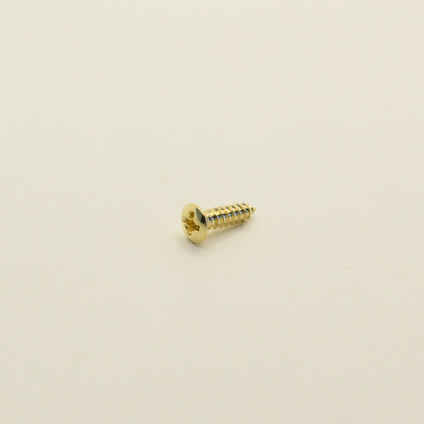 Gold Steel Pickguard and Control Plate Screws 3mm x 12mm
