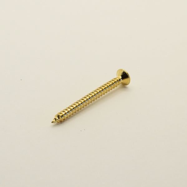 Gold Steel Neck Mounting Screws 4.2mm x 45mm