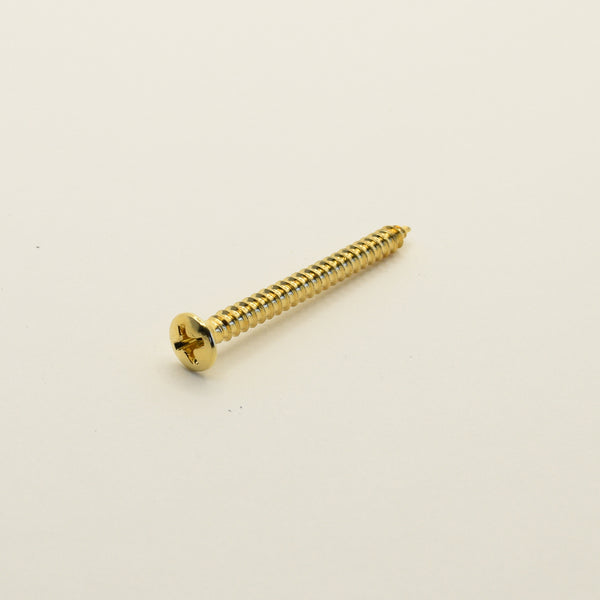 Gold Steel Neck Mounting Screws 4.2mm x 45mm